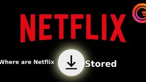 (Actualización 2025) Cómo encontrar rápidamente dónde se guardan las descargas de Netflix